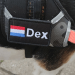 Personalized Netherlands Name Patch photo review